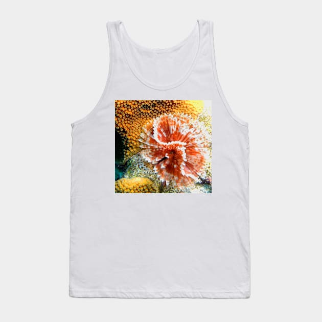 Red and White Feather Duster Coral Worm Tank Top by Scubagirlamy